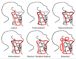 She has indicated that she accepts telehealth appointments. Https Vula Uct Ac Za Access Content Group Ba5fb1bd Be95 48e5 81be 586fbaeba29d Modified 20and 20radical 20neck 20dissection 20technique Pdf