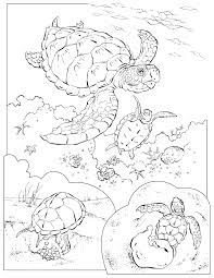 Download Coloring Book Animals A To I