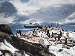 Others remarked that the snow being disturbed in front of the. Top 10 Antarctic Attractions