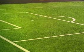 A company dedicated to the sale and installation of artificial grass, artificial ivy and artificial mulch both residential and commercial. Nexgen Lawns Artificial Grass Miami Artificial Turf In Miami Flnexgen Lawns