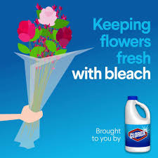 We did not find results for: Clorox Keeping Flowers Fresh With Clorox Bleach Facebook