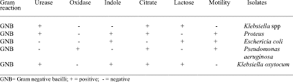 biochemical tests for the identification of bacteria