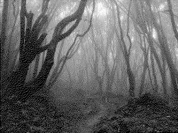 Draw Random Black And White Forest Code Golf Stack Exchange Drawing process video in photoshop, brushes, psd files, and more. draw random black and white forest
