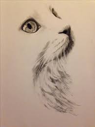 Ri70907b3 1001 idee per disegni a matita facili e molto belli. Immagini Di Gatti Per Disegnare E Copiare Piu Di 100 Fotografie