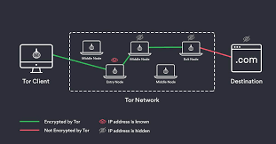 The dark web is the hidden collective of internet sites only accessible by a specialized web browser. How To Get On The Dark Web A Step By Step Guide