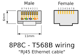 8p8c connectors can plug into rj45 receptacles, but the inverse is these wiring layouts each have their own color convention, and following the convention is important to ensure electrical compatibility. Rj45 Connectors Icons Png Free Png And Icons Downloads