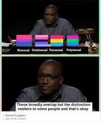 I thought to celebrate this year by recalling my journey of about this video: Deus Ex Ceteri Androiddaydreams Wholesome Pride Month Meme