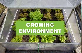 We did not find results for: The Green Mountain Company Hydroponics Garden Specialists