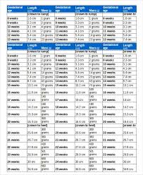 67 Described Baby Weight By Week Kg