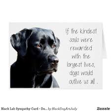 Black Lab Sympathy Card Dog Sympathy Pet Loss Zazzle Com Dog Quotes Love Dog Sympathy Pet Quotes Dog