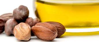 jojoba yağı ile ilgili görsel sonucu