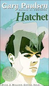 10 Wilderness Survival Skills From Hatchet The Art Of Manliness Hatchet Book Books For Boys Hatchet Novel