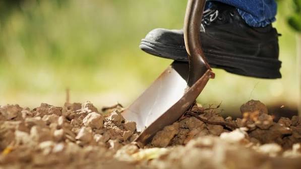Before You Dig, Call 811 and Avoid Power Outages | Edison International |  Newsroom