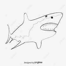 Segitiga hitam putih, sirip hiu kartun, sudut, putih, segitiga png. Gambar Vektor Hiu Clipart Hiu Kartun Hiu Hitam Satwa Png Transparan Clipart Dan File Psd Untuk Unduh Gratis