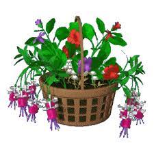 The best gifs are on giphy. 3d Flower Gif Animations High Quality Gif Images