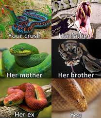 Pin On Memes