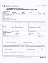 Try out simple forms to create your affidavit, statutory declaration or power of attorney (and many more). Custodianship Declaration Fill Out And Sign Printable Pdf Template Signnow
