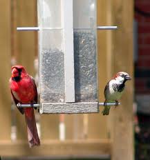 The panorama feeder has a seed capacity of 4.5 pounds. Attracting Birds To Your Backyard Bird Feeder Basics