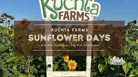 Sunflower Days