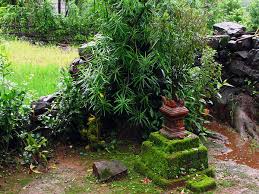 à°¤ à°²à°¸ à°•à°¥ story of tulsi the unfortunate goddess telugu boldsky à°¤ à°²à°¸ à°•à°¥ story of tulsi the