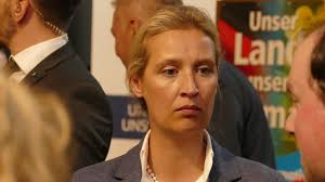 Allgemeine infos über alice weidel. Alice Weidel Kommt Am 3 Oktober In Die Sudpfalz Afd Sudliche Weinstrasse Landau
