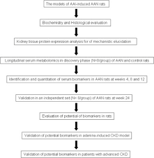 High blood pressure is the second most common cause of esrd. Metabolomics Insights Into Activated Redox Signaling And Lipid Metabolism Dysfunction In Chronic Kidney Disease Progression Sciencedirect