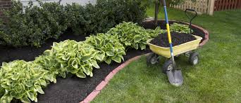 Maybe you would like to learn more about one of these? How Much Topsoil Do You Need For A Great Garden Rels