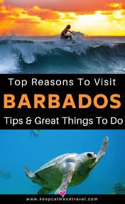 Things To Do In Barbados A Travel Guide With Local Tips Caribbean Travel Barbados Travel Visit Barbados