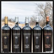 Caduceus Cellars On Instagram A Magnum Is A Measurement Of Wine Equal To 1 5 Liters Or Two Bottles The Name Originates From The Bottle Vodka Bottle Anubis