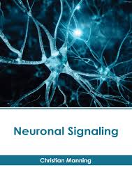 American Medical Publishers