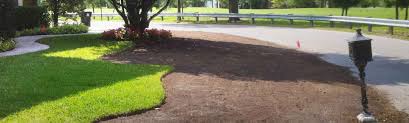 You usually only need to water sod once after installation if installed in winter. Sod Installation And Care Guidelines Northeast Nursery