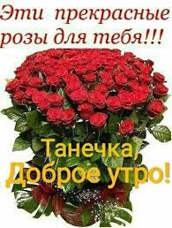 любимой девушке нежные картинки с добрым утром скачать бесплатно на телефон Tanechka Dobroe Utro Holiday Decor Christmas Wreaths Holiday
