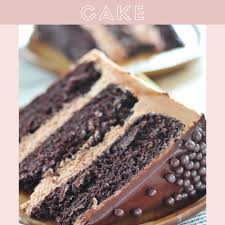 One more thing to consider when pairing a filling/frosting and a cake is texture. The Ultimate Chocolate Cake Cake By Courtney