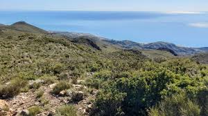 Top 10 Hikes and Walks in Sierra De Cabrera-Bedar