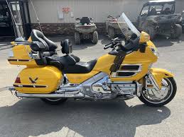 Image result for Golden Almond 2010 HS