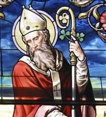 Image result for st patrick