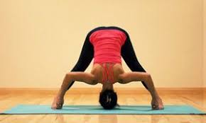 Yoga Poses To Balance Vata Dosha Yoga Poses Vata Dosha Ayurveda Yoga