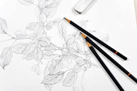 As we look below at the development of different grasps and drawing skills we can observe that there is a natural progression as the child's fine motor skills develop. Learning To Draw With Graphite Pencil Here S What You Need To Know