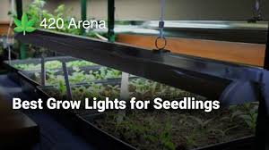 We did not find results for: Top 5 Best Grow Lights For Seedlings 2019 Reviews Buyer S Guide
