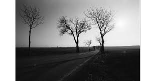 Sıklıkla çok sert ve katı metamorfik kayadan olan bu kitleleri, genellikle erozyon açığa çıkarmıştır. Kono Monolit 400 Kleinbildfilm Fotoimpex De Analoge Fotografie