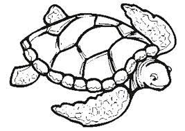 We did not find results for: Turtle Coloring Pages Pdf Free Coloring Sheets Turtle Coloring Pages Turtle Drawing Animal Coloring Pages