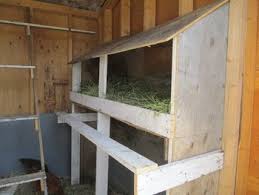 coop builders what would you have changed or done differently coop chicken tractor builder