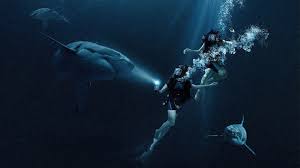 So How About That 47 Meters Down Ending Director Explains Bloody Disgusting