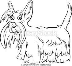 Scottish terrier coloring pages pictures images photos. Scottish Terrier Purebred Dog Coloring Book Page Black And White Cartoon Illustration Of Scottish Terrier Purebred Dog Canstock