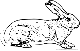 Einen fuchs einfach zeichnen arenaoflife club. Fuchs Gesicht Malvorlage Fuchsgesicht Malvorlagen Coloring And Malvorlagan Malvorlage Fuchs Einfach Ausmalbilder Malvorlagen Fuchs Kostenlos Zum Ausdrucken