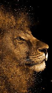 Popular Android Wallpapers Hd Download Free 1080x1920 Images For Android Mobile In 2020 Lion Live Wallpaper Lion Wallpaper Iphone Hd Wallpaper Android