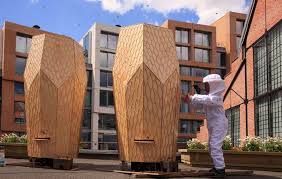 Neuer Lebensraum Fur Bienen In Der Stadt Bienenhaltung Bienen Bienenzucht Im Garten