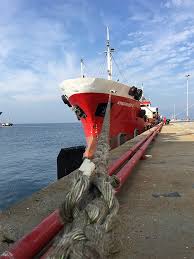 Image result for Green Izmir 1995 Fleet