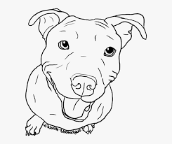 You can use our amazing online tool to color and edit the following boston terrier coloring pages. American Pit Bull Terrier Puppy Drawing Line Art Coloring Pages Of Pitbulls Hd Png Download Kindpng
