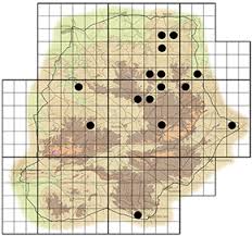 Image result for Mystroxylon